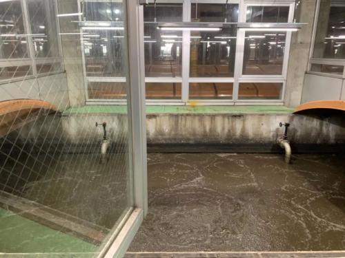 1587194550245082.jpeg 1587194550245082.jpeg