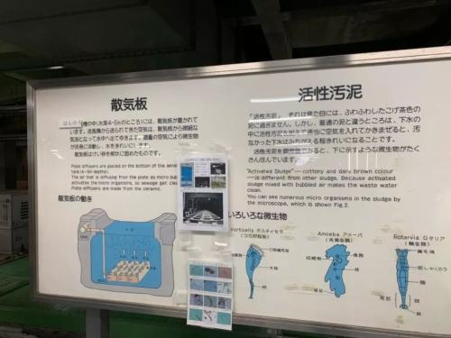 1587194556461374.jpeg 1587194556461374.jpeg